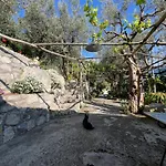 La Petra *