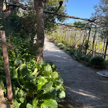 La Petra * Vico Equense