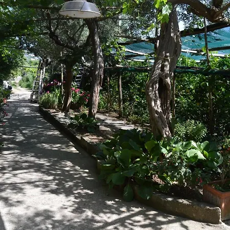 La Petra Casa de Férias Vico Equense