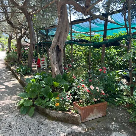 בית נופש La Petra