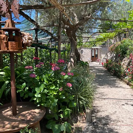 בית נופש La Petra