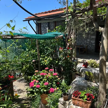 La Petra * Vico Equense